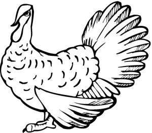 Hindi boyama sayfası,  coloring page, Klasik hindi türü., 