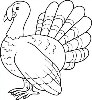 Hindi boyama sayfası,  coloring page, Kabarık hindi yürüyüşe çıkar., 