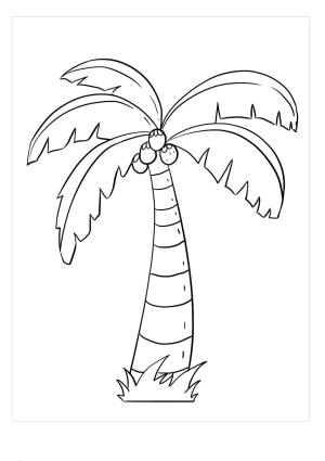 Hindistan Cevizi boyama sayfası,  coloring page, Hindistan Cevizi Ağacı, 