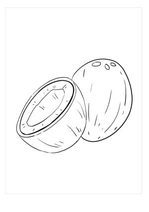 Hindistan Cevizi boyama sayfası,  coloring page, Normal Hindistan Cevizi, 