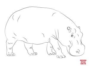 Hipopotam boyama sayfası, Hippopotamus coloring page, , hippopotamus cute hippopotamus 