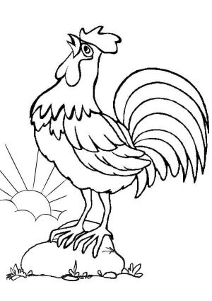 Horoz boyama sayfası,  coloring page, Horoz ötme, 