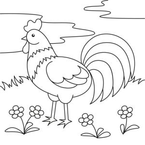 Horoz boyama sayfası,  coloring page, Horoz alanında., 