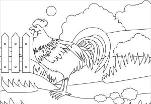 Horoz boyama sayfası,  coloring page, Normal Horoz, 