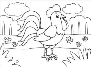 Horoz boyama sayfası,  coloring page, Karikatür Horoz, 