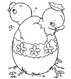 Huevo De Pascua boyama sayfası,  coloring page, Kırık Paskalya Yumurtasında İki Civciv, 