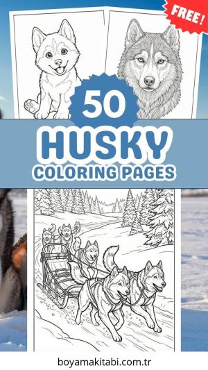 Husky boyama sayfası – yaratıcılık, eğlenceli etkinlik