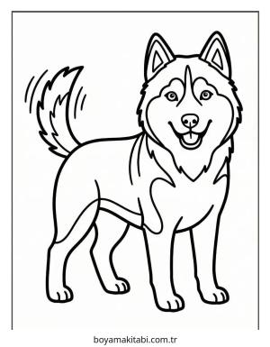 Husky boyama sayfası – yaratıcılığı geliştirir, keyifli zaman