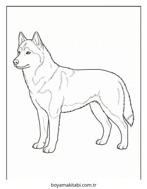 Husky boyama sayfası – okul öncesi, evde etkinlik