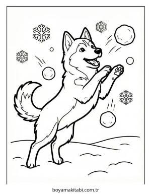Husky boyama sayfası – boyama çalışması, yaratıcılığı geliştirir
