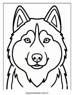 Husky boyama sayfası – çizgi film temalı, basit çizim