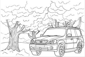 Hyundai boyama sayfası,  coloring page, Ormandaki Hyundai arabası görseli, 