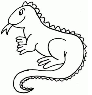 Iguana boyama sayfası,  coloring page, Komik İguana, 