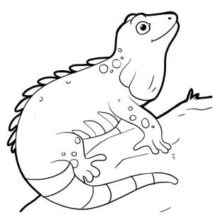 Iguana boyama sayfası,  coloring page, İguana gülümsüyor, 