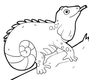 Iguana boyama sayfası,  coloring page, , 