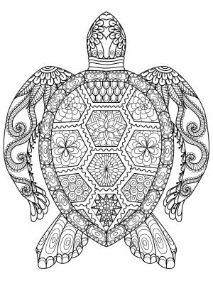 Ilkbahar boyama sayfası,  coloring page, İlkbahar desenlerinde kaplumbağa, 