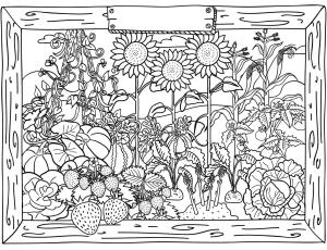 Ilkbahar boyama sayfası,  coloring page, İlkbaharın sonlarında meyveler olgunlaşmaya başlar, 