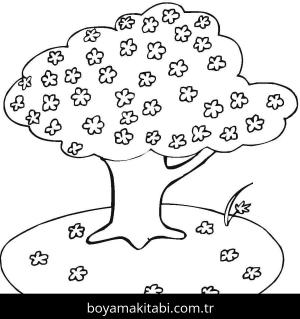 Ilkbahar boyama sayfası – renkli çizimler, okul öncesi