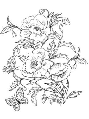 Ilkbahar boyama sayfası,  coloring page, Çiçek açan haşhaş, 