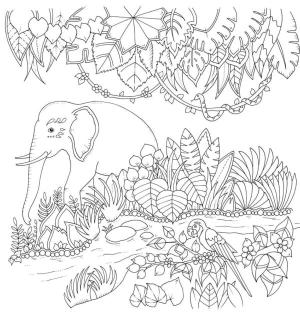 Ilkbahar boyama sayfası,  coloring page, Bir fil kıyı boyunca yürüyor., 