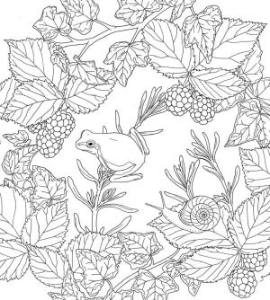 Ilkbahar boyama sayfası,  coloring page, Kurbağa bir bitkinin dalında oturuyor, 