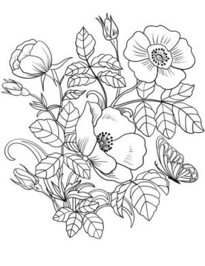 Ilkbahar boyama sayfası,  coloring page, Bahar Çiçekleri Ve Kelebekler, 