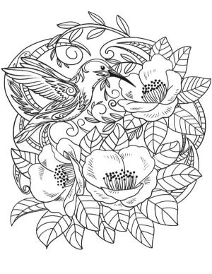 Ilkbahar boyama sayfası,  coloring page, Şefkatli bir kuş çiçekleri tozlaştırır., 