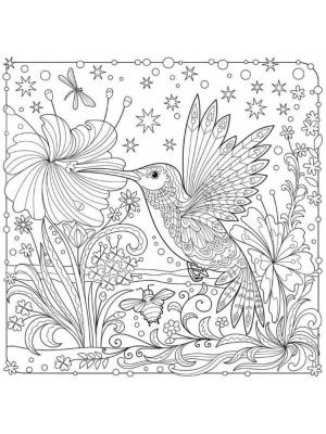 Ilkbahar boyama sayfası,  coloring page, Ötücü kuş çiçekleri tozlaştırır., 