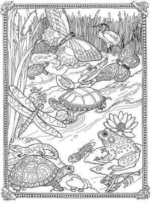 Ilkbahar boyama sayfası,  coloring page, Hayvanlar ilkbaharın gelişine sevinirler., 