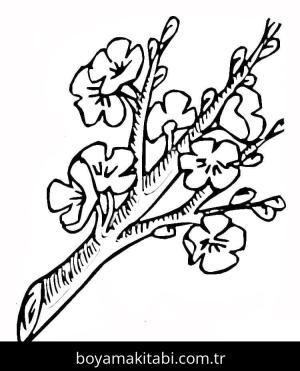 Ilkbahar boyama sayfası – boyama çalışması, yaratıcılığı geliştirir