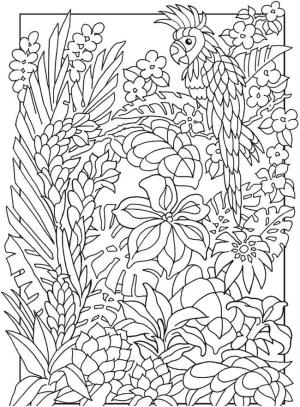 Ilkbahar boyama sayfası,  coloring page, Papağan kocaman yaprakların arasına saklandı., 