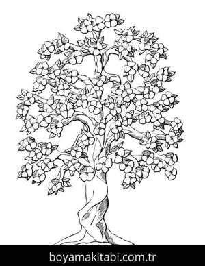 Ilkbahar boyama sayfası – kolay boyama, eğitici aktivite