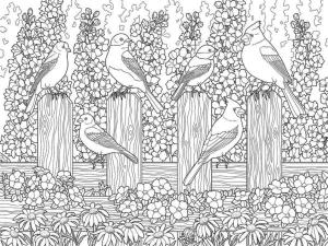 Ilkbahar boyama sayfası,  coloring page, Bütün bir kuş sürüsü çitin üzerinde oturuyor., 