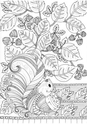 Ilkbahar boyama sayfası,  coloring page, Fındıklı sevimli sincap., 