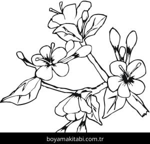 Ilkbahar boyama sayfası – çizgi film temalı, basit çizim