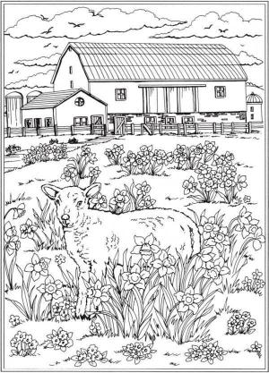 Ilkbahar boyama sayfası,  coloring page, Koyun açan çiçeklere sevinir, 