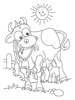 Inek boyama sayfası,  coloring page, Ot Yiyen Inek, 