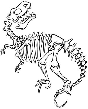 Iskelet boyama sayfası,  coloring page, Dinozor Iskeleti, 