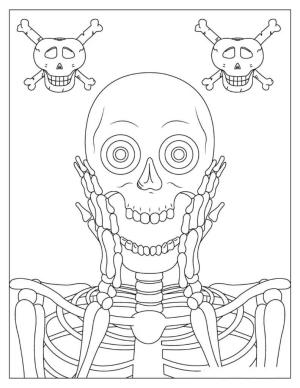 Iskelet boyama sayfası,  coloring page, Sevimli İskelet Yüz, 