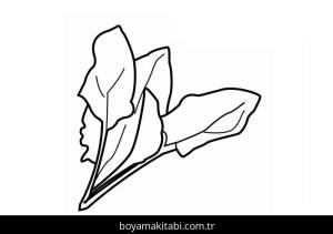 Ispanak boyama sayfası – sanatsal çalışma, çocuklar için