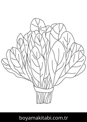 Ispanak boyama sayfası – boyama etkinliği, çocuk aktivitesi