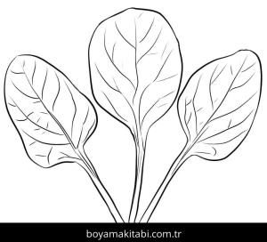 Ispanak boyama sayfası – PDF indir, sevimli karakter