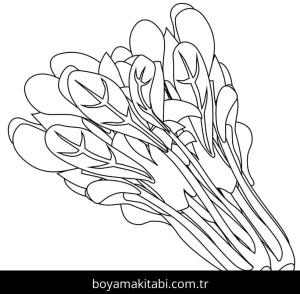 Ispanak boyama sayfası – ücretsiz yazdır, boyama etkinliği