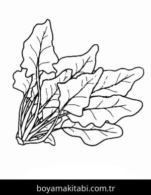 Ispanak boyama sayfası – eğlenceli etkinlik, el becerilerini geliştirir