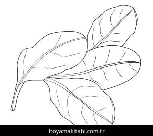 Ispanak boyama sayfası – basit çizim, kolay boyama