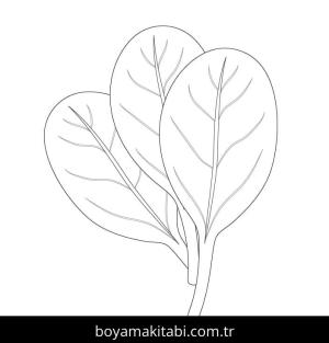 Ispanak boyama sayfası – yaratıcılığı geliştirir, keyifli zaman