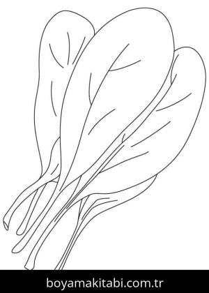 Ispanak boyama sayfası – keyifli zaman, renkli çizimler