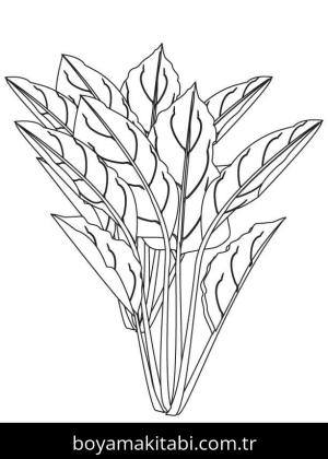 Ispanak boyama sayfası – evde etkinlik, ücretsiz yazdır