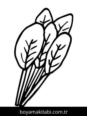 Ispanak boyama sayfası – boyama çalışması, yaratıcılığı geliştirir