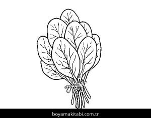 Ispanak boyama sayfası – okul öncesi, evde etkinlik